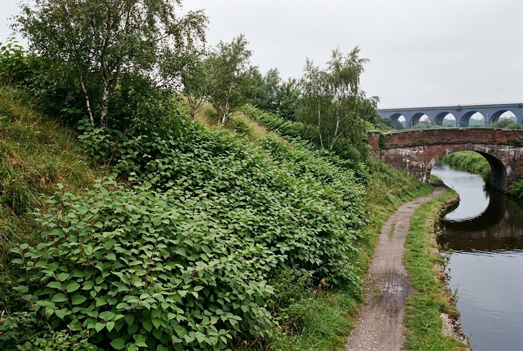 The garden borders the canal path or a railway line